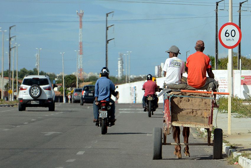 Cadastramento de carroceiros é iniciado em Aracaju