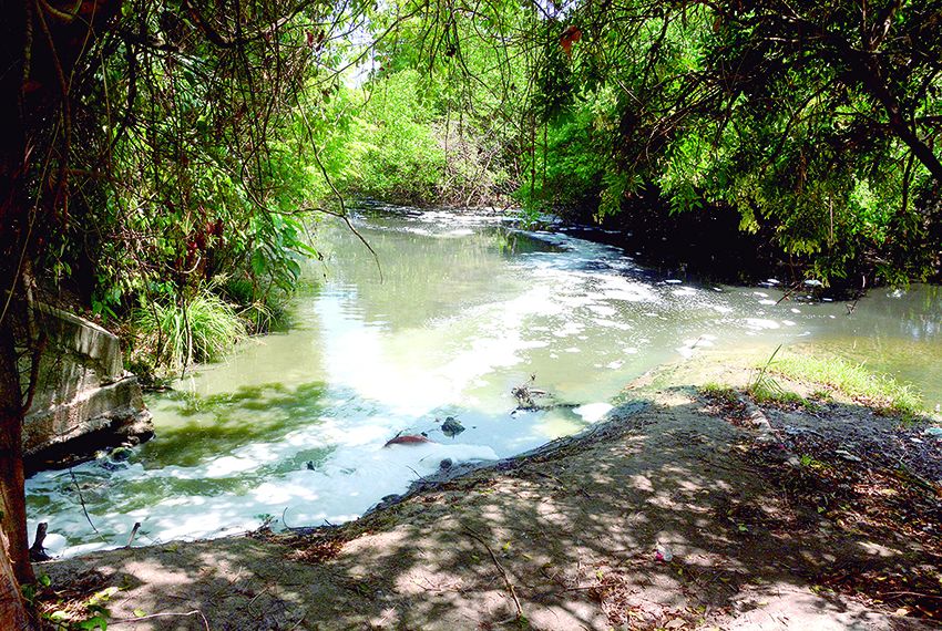 Espuma branca é encontrada no Rio Poxim em Aracaju, Sergipe