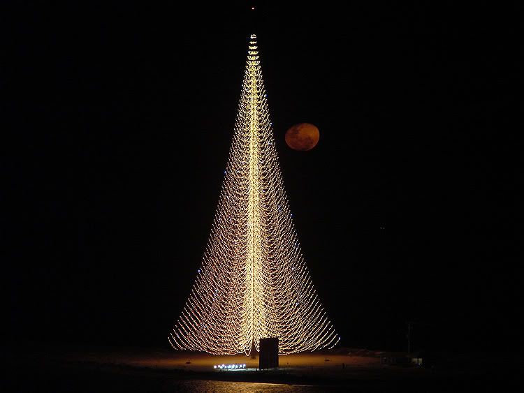 Maior árvore de Natal do mundo: 8 anos desativada