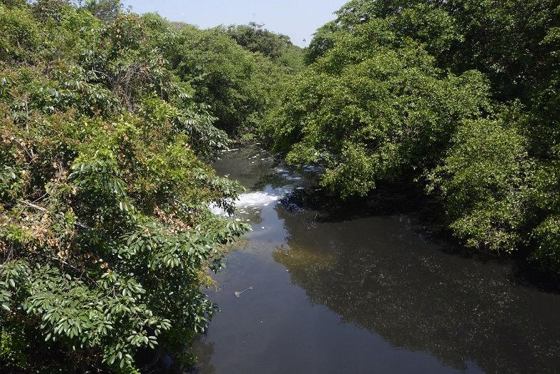 Espuma branca é encontrada no Rio Poxim em Aracaju, Sergipe