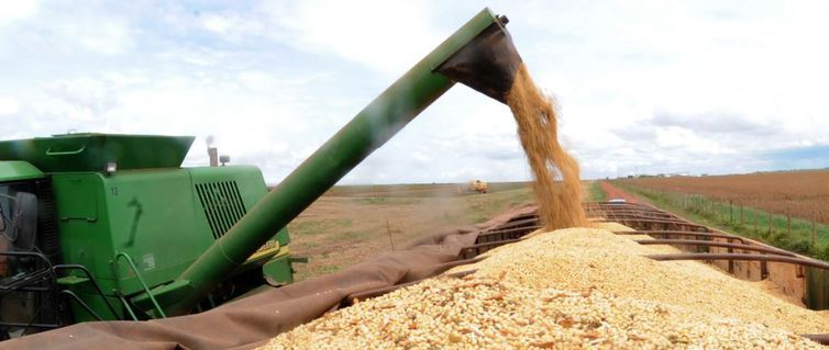 Safra de grãos de 2019 deve ser 3,1% maior que a de 2018, diz IBGE