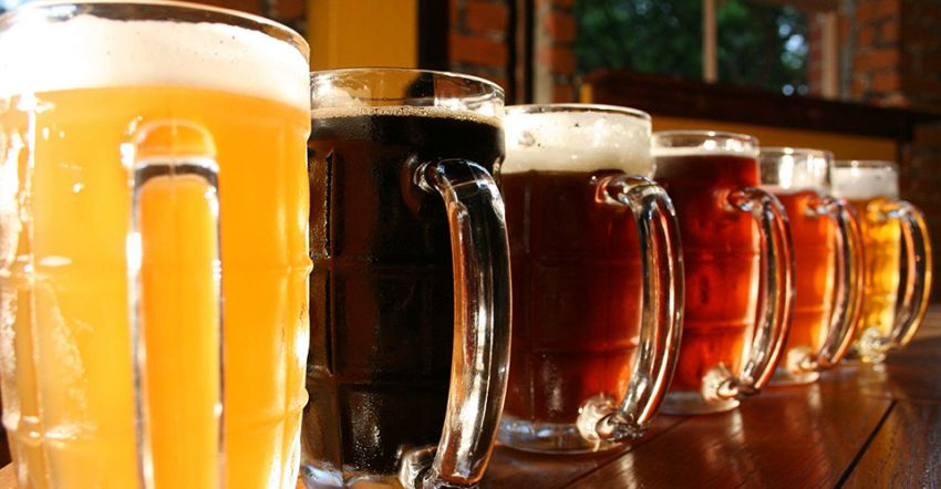 Produção de cerveja artesanal é tema de curso em Aracaju
