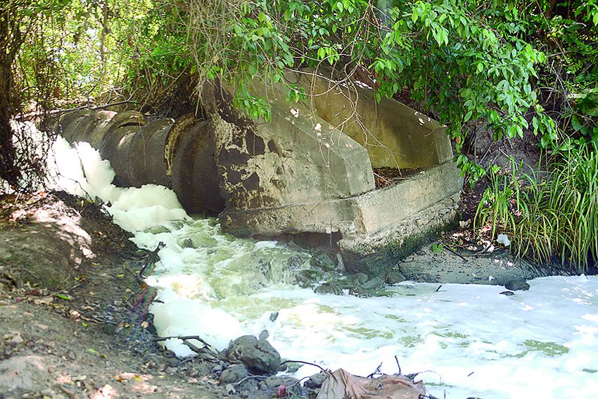 Espuma branca é encontrada no Rio Poxim em Aracaju, Sergipe