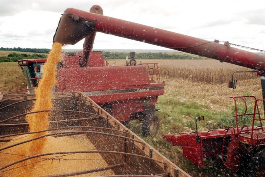 Produção de grãos no Brasil deve crescer 1,6% este ano, diz IBGE