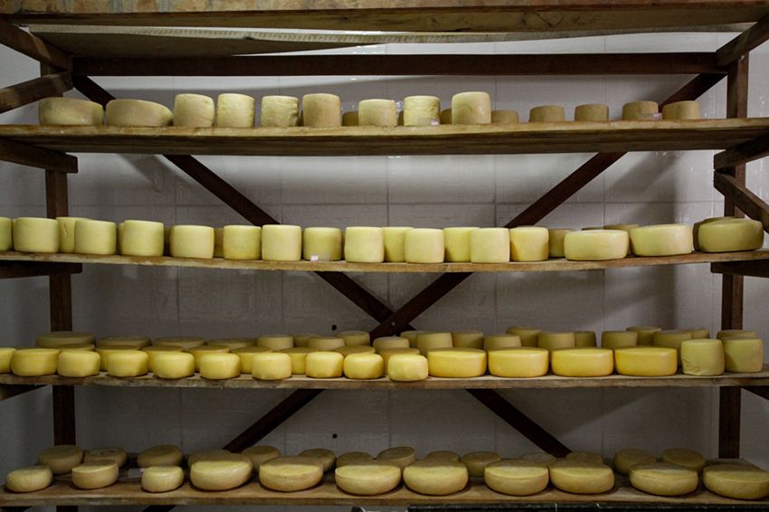 Processo de regularização das queijarias do Alto Sertão avança