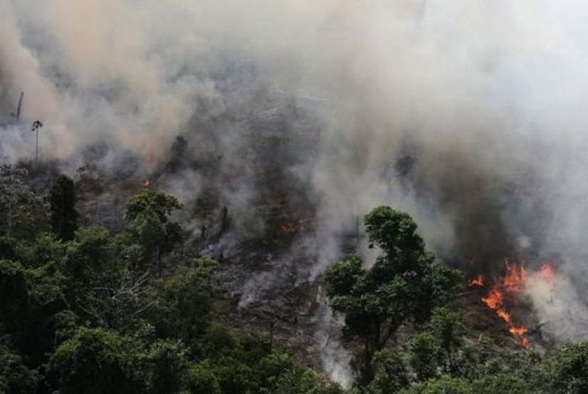 Cerca de 1.200 queimadas já atingiram Sergipe em sete meses