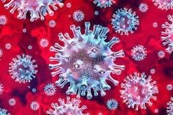 Itabaiana tem o primeiro caso confirmado de Coronavírus