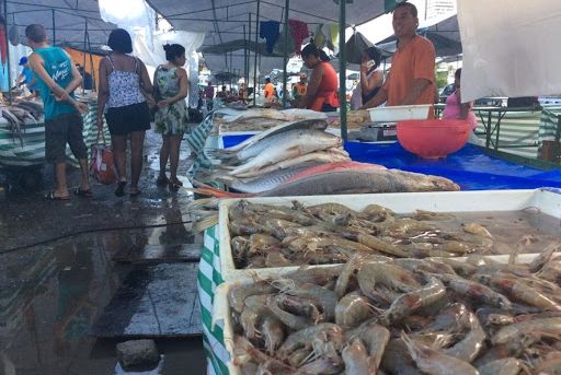 Semana Santa: venda de pescados terá regras