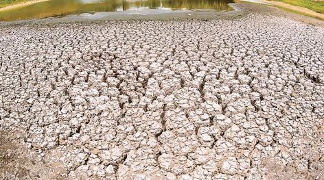 Municípios seguem em situação de emergência devido à seca e estiagem