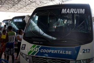 Frota do transporte público intermunicipal será ampliada nas eleições