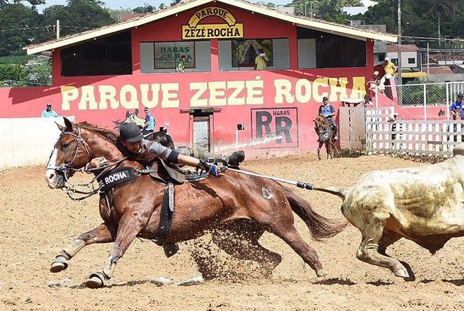 Pl Reconhece Lagarto Como A Capital Nacional Da Vaquejada