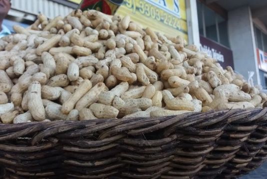 38 municípios de Sergipe produzem amendoim e garantem o intenso consumo