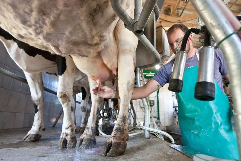Produtores de leite vão discutir desafios da produção em SE