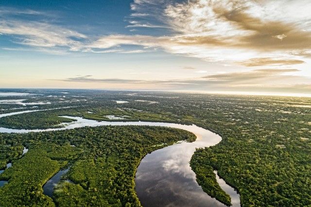 Dinamarca anuncia doação de R$ 110 milhões para o Fundo Amazônia