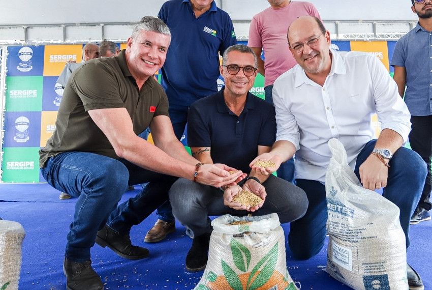 Mitidieri entrega 175 toneladas de sementes de arroz para produtores