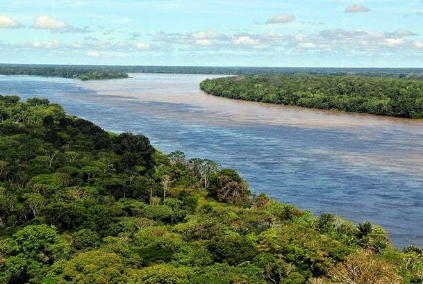 Brasil já perdeu 33% das áreas naturais de seu território