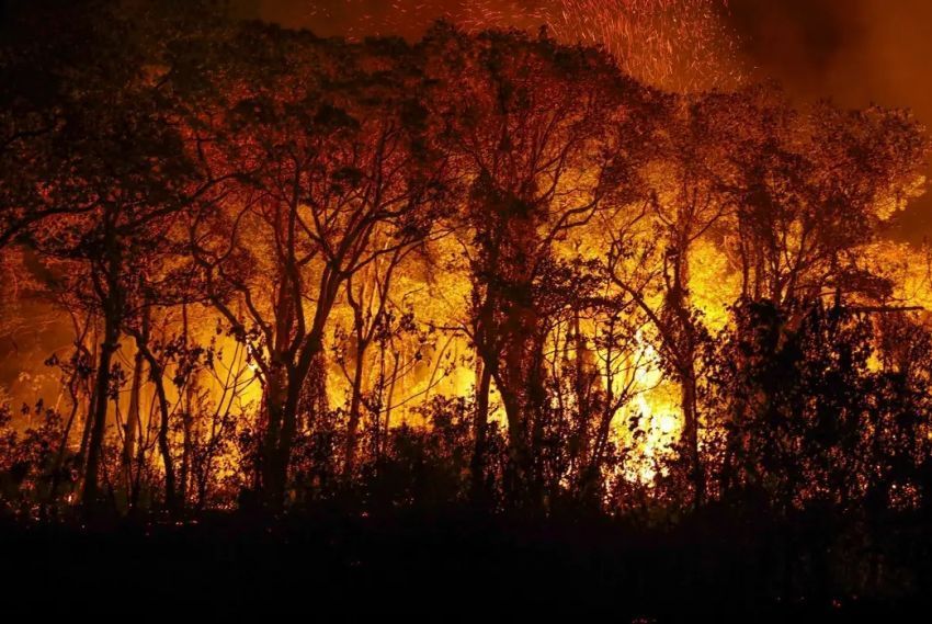 Incêndios podem ter afetado mais de 11 milhões de pessoas no Brasil