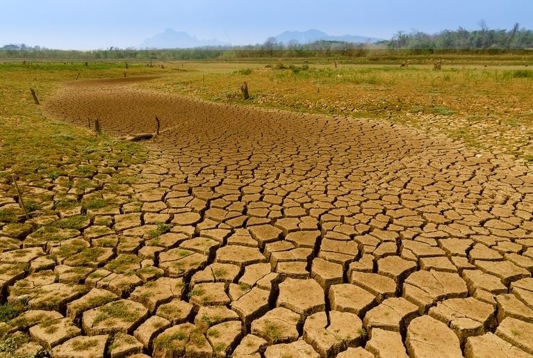 Territórios sergipanos sofrem com o avanço da seca