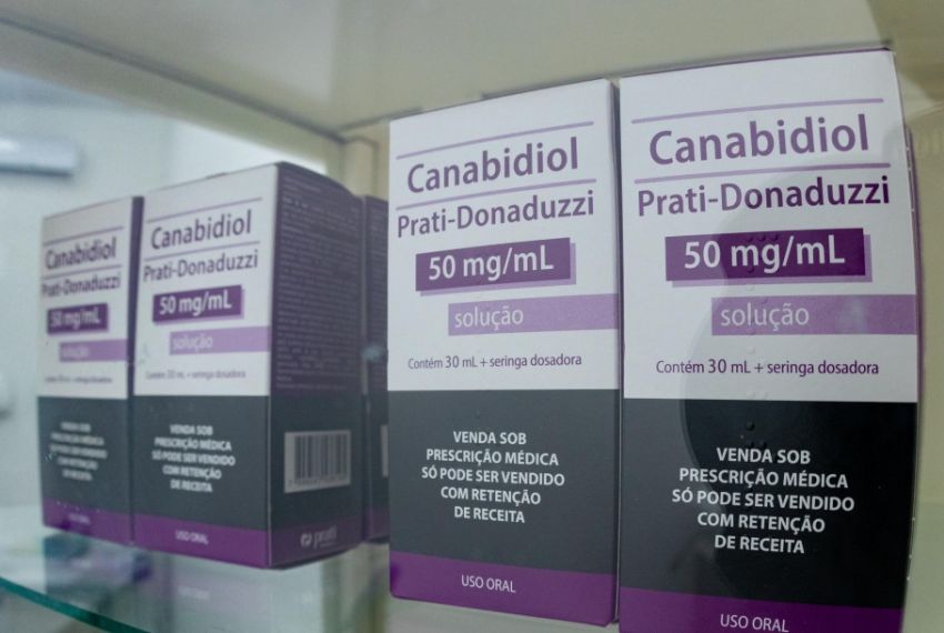 Sergipe lidera no uso de derivados de cannabis e acompanhamento