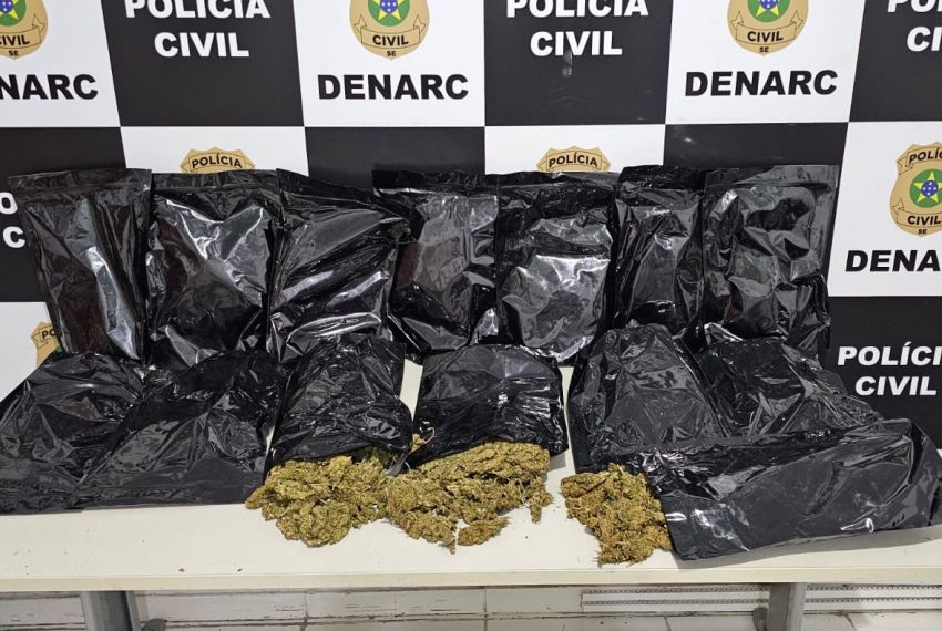 Durante investigações Polícia Civil apreende 7kg de 'flor de cannabis'