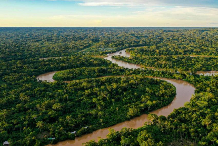 Desmatamento na Amazônia cai 30,6% em um ano