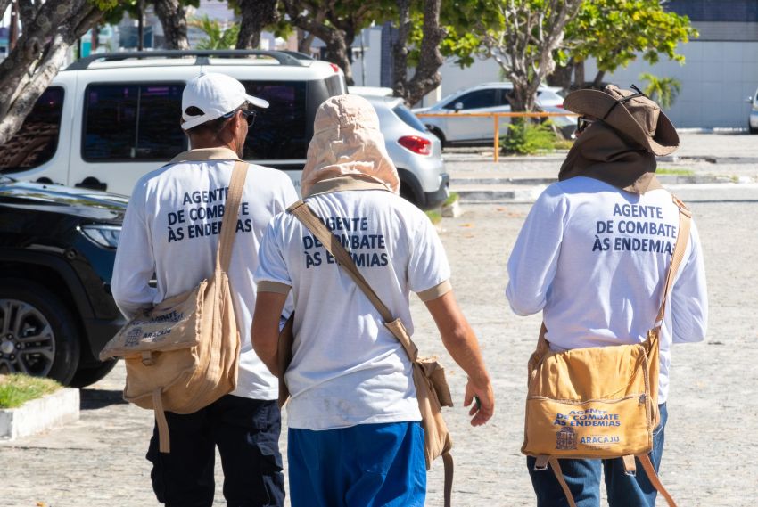 Três municípios têm alta infestação do Aedes aegypti