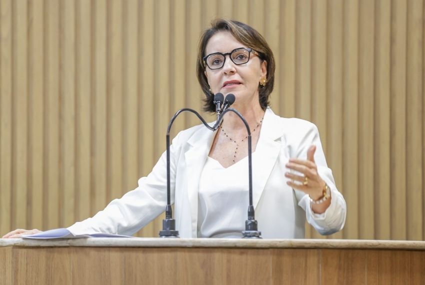 Emília participa de reunião virtual