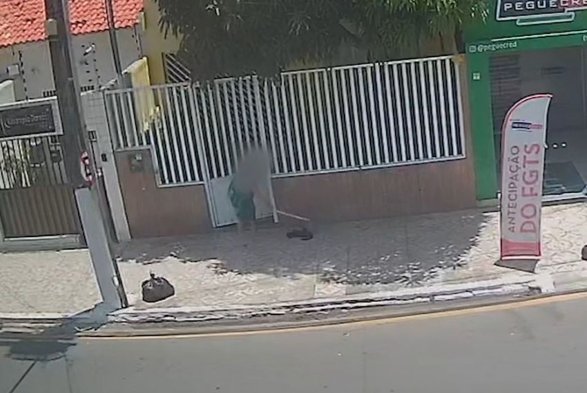 Mulher é indiciada por agredir e matar gato em Aracaju