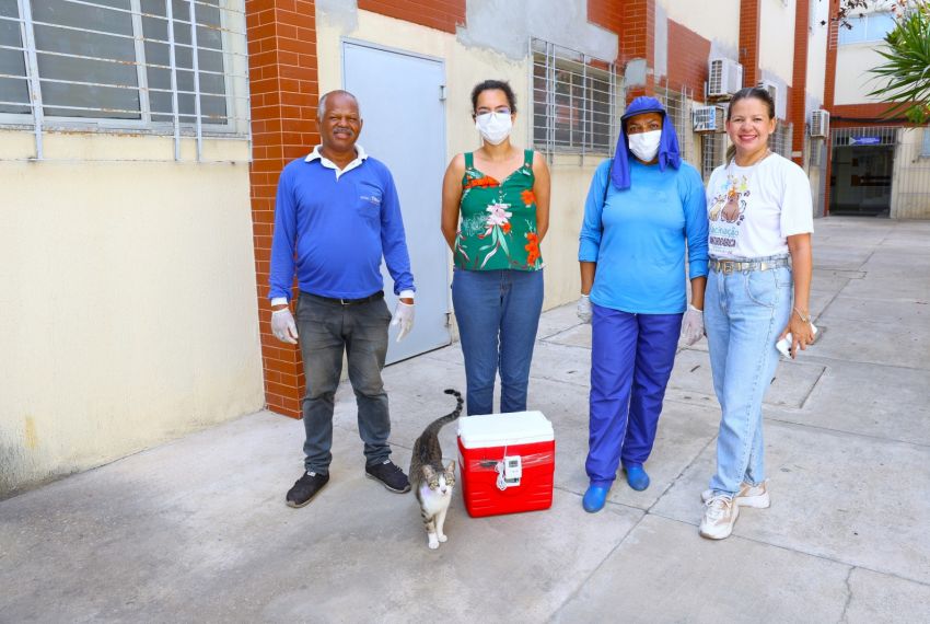 Prefeitura de São Cristóvão vacina gatos da UFS contra a Raiva