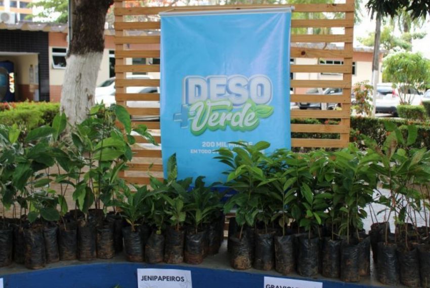 Programa ‘Deso + Verde’ disponibiliza mudas arbóreas para doação