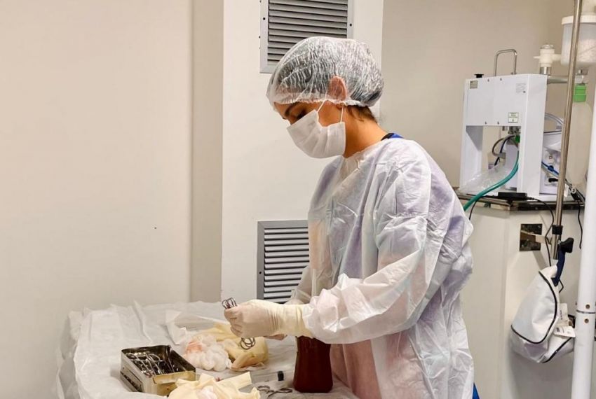 Aracaju avança em projeto para criação de hospital veterinário público