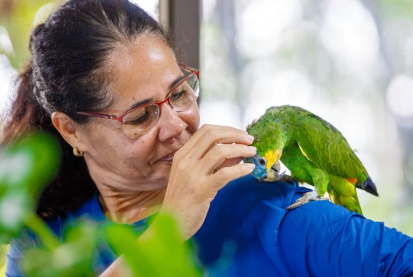 Cetas já recebeu mais de 450 animais silvestres de janeiro a abril
