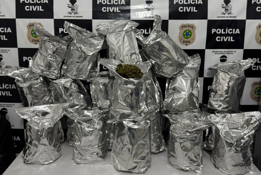 Ação conjunta apreende mais de 20 kg de “flor da maconha” em Japoatã