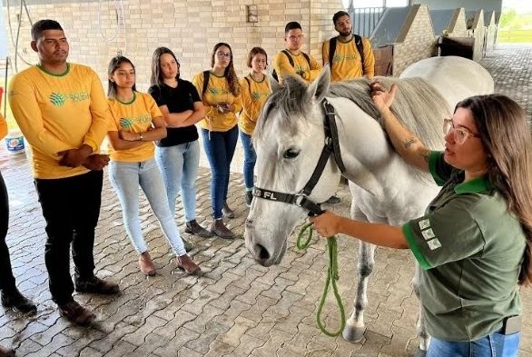 Senar Sergipe abre credenciamento para profissionais