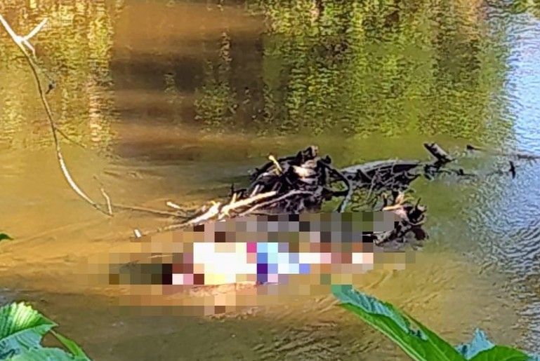 Corpo é encontrado boiando no rio Jacarecica, em Riachuelo