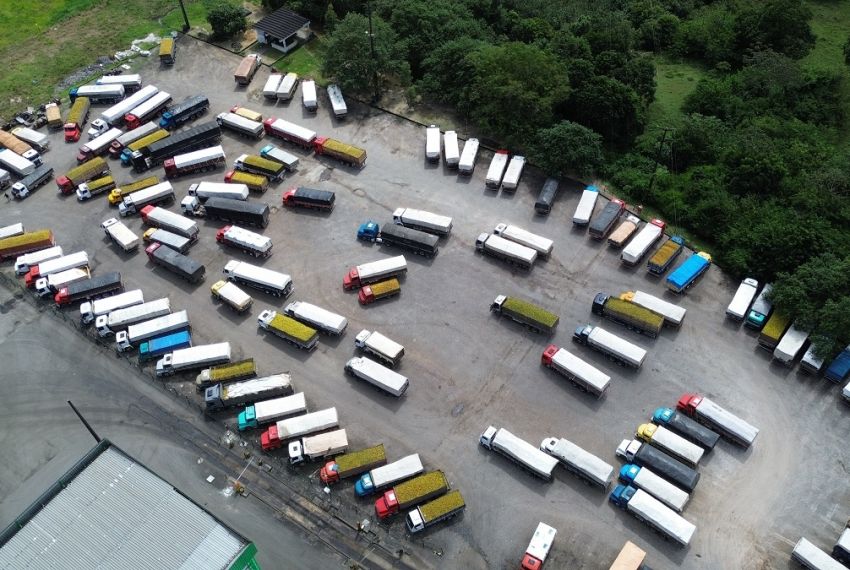 Senar alerta para a supersafra de laranja e crise de escoamento em SE