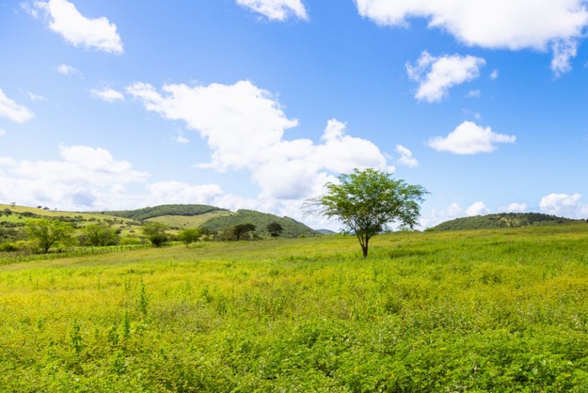 SE recebe 1ª Conferência e Feira de Desenvolvimento Sustentável do Nordeste
