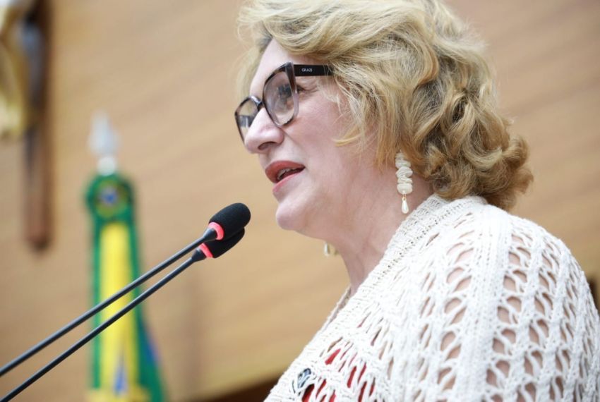 Linda Brasil defende reivindicações dos auditores fiscais