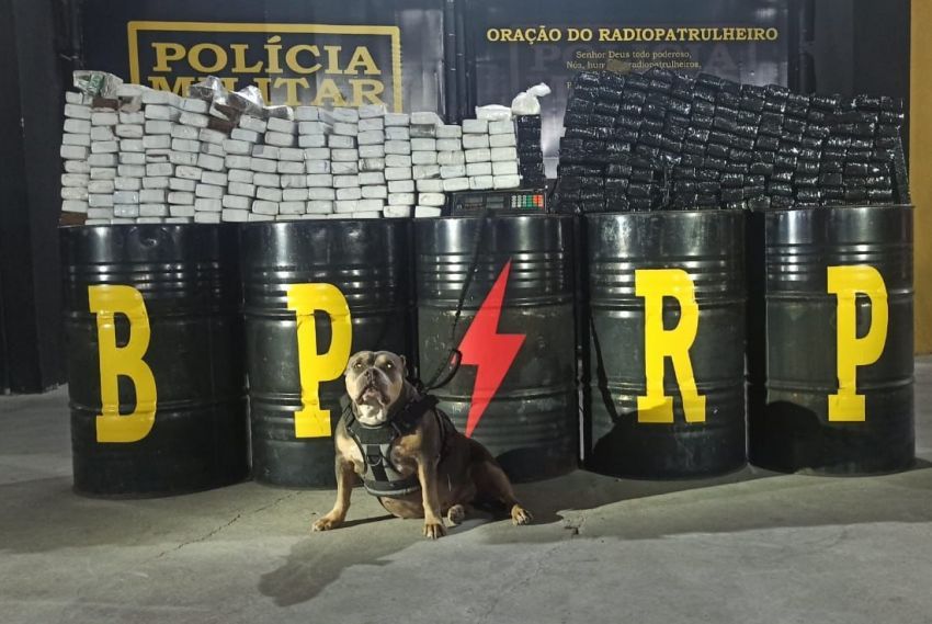 Mais de 200 kg de maconha são apreendidos pela PM em Socorro