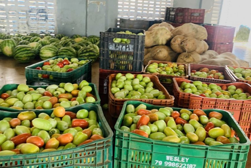 Programa garante entrega de 3,5 toneladas de alimentos