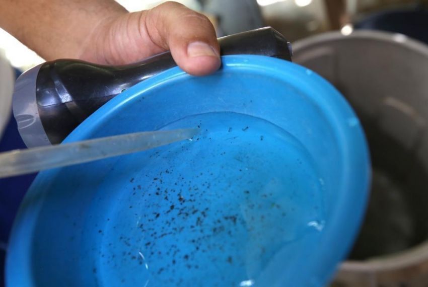 Aracaju registra redução na infestação do Aedes aegypti