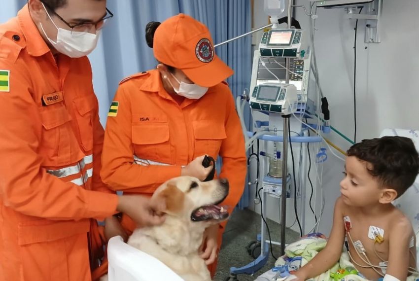 Pacientes pediátricos do Huse ganham visita especial