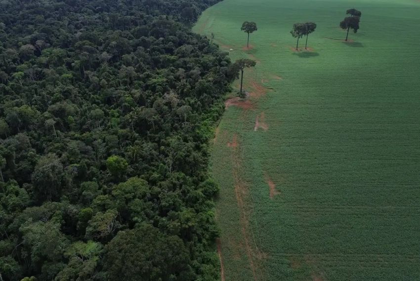 Caravana social vai à COP30 denunciar megaprojetos