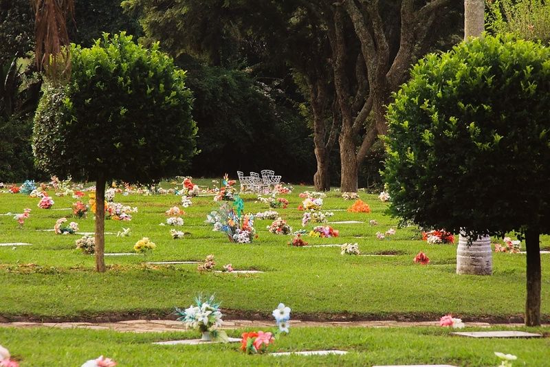 Especialista desvenda mitos e curiosidades sobre o setor e a relação dos brasileiros com a morte