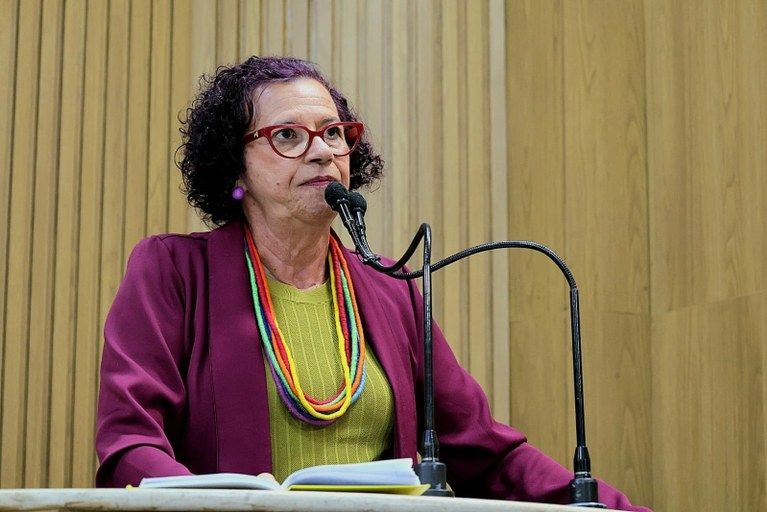 “Precisamos renovar o Congresso”, diz Sônia Meire