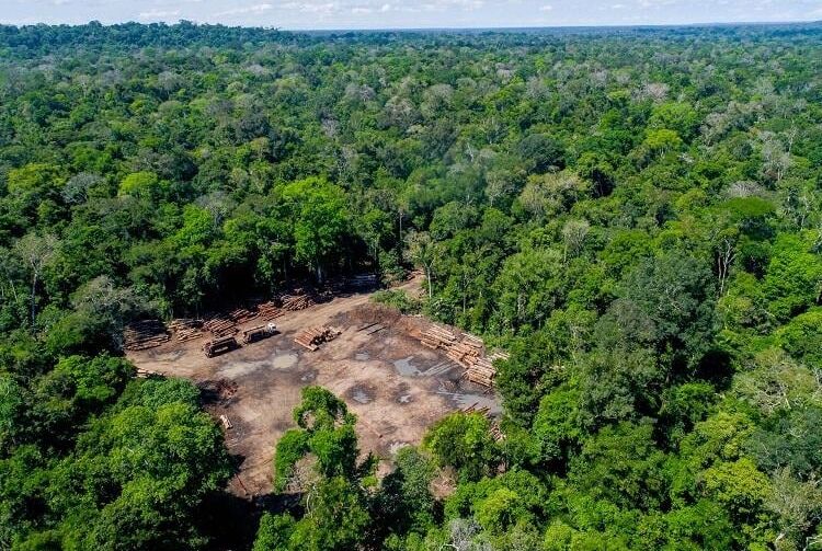 Desmatamento da Amazônia pode acelerar aquecimento global