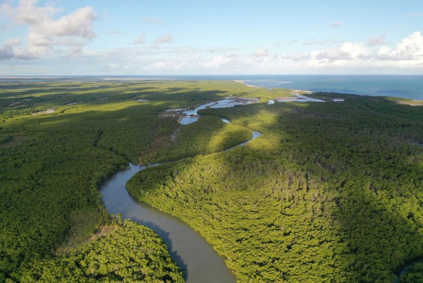 Sergipe chega a COP 30