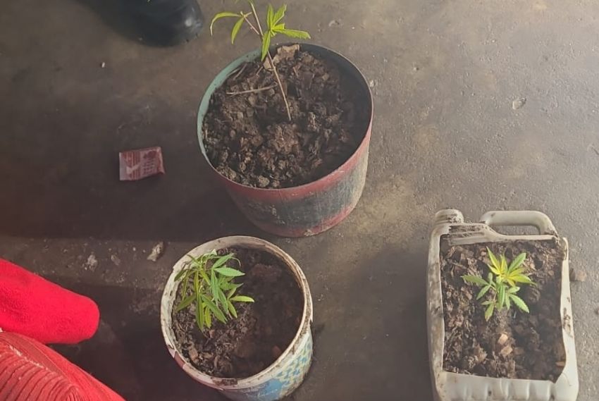 Polícia Civil prende homem com armas e maconha em Santa Luzia