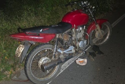 Motociclista morre após colidir com cavalo em rodovia de Porto da Folha