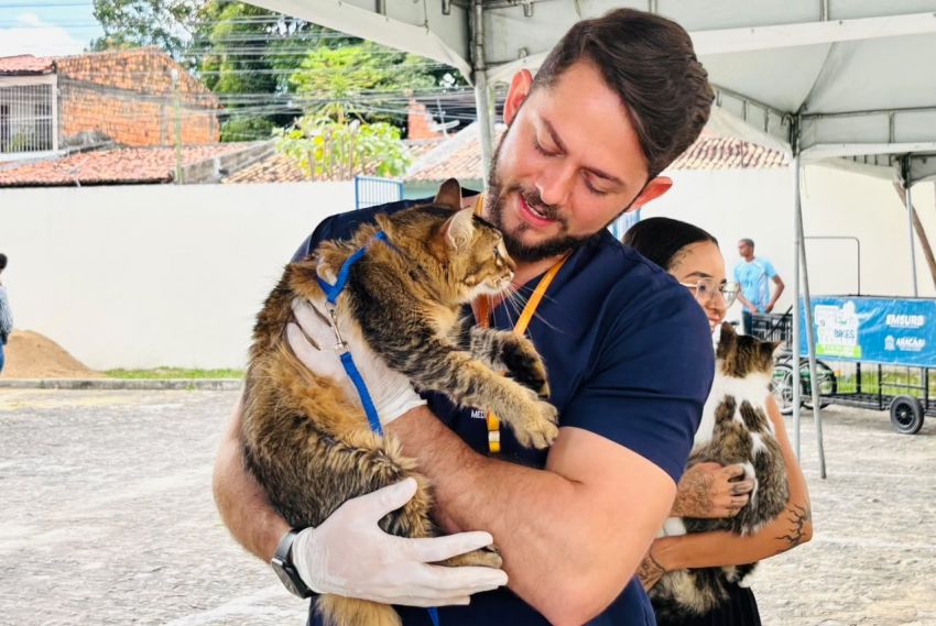 Aju Animal realiza 178 atendimentos em agosto